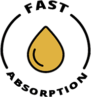 fast absorption